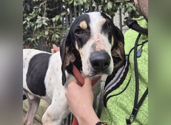 Mark - freundlicher, ausgeglichener Bub