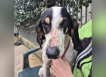 Mark - freundlicher, ausgeglichener Bub