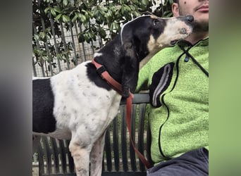 Mark - freundlicher, ausgeglichener Bub