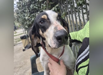 Mark - freundlicher, ausgeglichener Bub