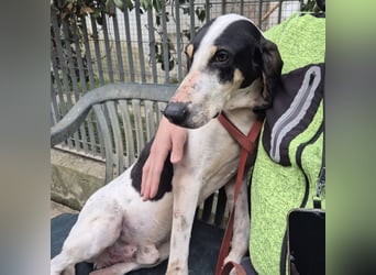 Mark - freundlicher, ausgeglichener Bub