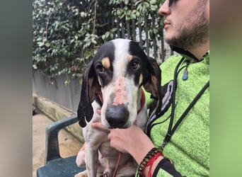 Mark - freundlicher, ausgeglichener Bub