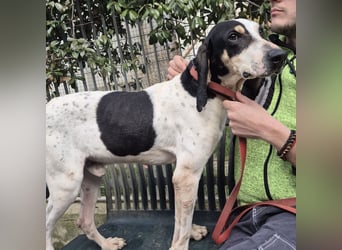 Mark - freundlicher, ausgeglichener Bub