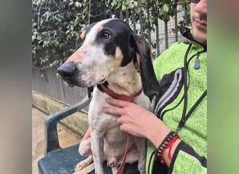 Mark - freundlicher, ausgeglichener Bub