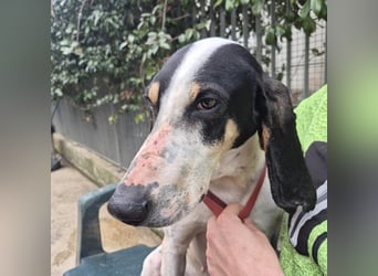 Mark - freundlicher, ausgeglichener Bub