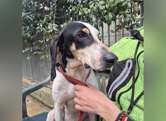 Mark - freundlicher, ausgeglichener Bub