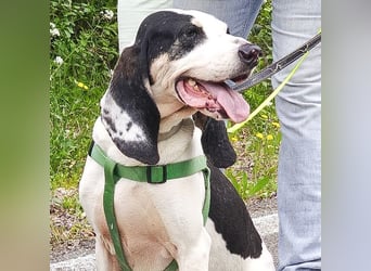 Peter - bewirbt sich als Gesangspartner! Entspannt und immer fröhlich wartet auf deinen? Anruf!