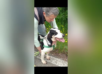 Peter - bewirbt sich als Gesangspartner! Entspannt und immer fröhlich wartet auf deinen? Anruf!