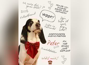 Peter - bewirbt sich als Gesangspartner! Entspannt und immer fröhlich wartet auf deinen? Anruf!