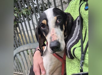 Mark - freundlicher, ausgeglichener Bub