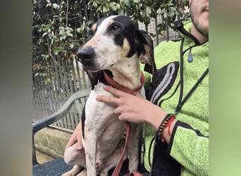 Mark - freundlicher, ausgeglichener Bub