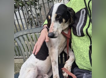 Mark - freundlicher, ausgeglichener Bub