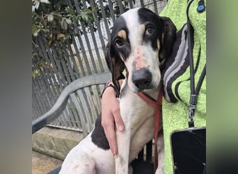 Mark - freundlicher, ausgeglichener Bub