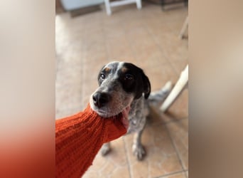 Anton, geboren 22.01.2022, 50cm sucht seine Menschen