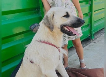 Ermes – aktiv und verschmust