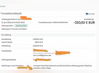 WASHINGTON - Gerettet, um gequält zu werden