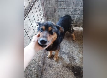 Paco Senior für Senioren