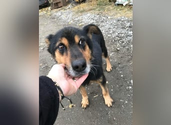Paco Senior für Senioren