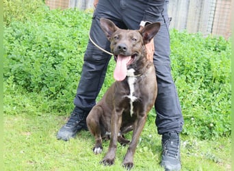 Powerlady Lindinha ✅ liebt Katzen und Menschen