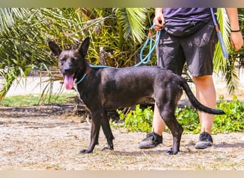 Powerlady Lindinha ✅ liebt Katzen und Menschen