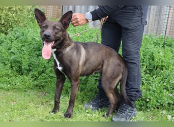 Powerlady Lindinha ✅ liebt Katzen und Menschen