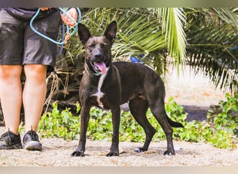 Powerlady Lindinha ✅ liebt Katzen und Menschen