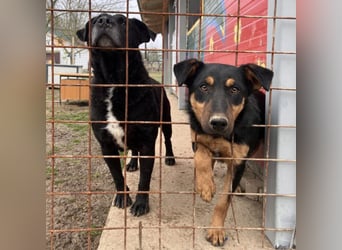 Pluton ein richtiger Teenie