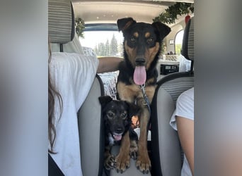 Pluton ein richtiger Teenie