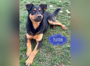 Pluton ein richtiger Teenie