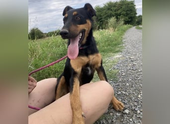 Pluton ein richtiger Teenie