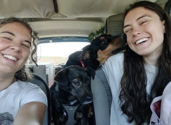 Pluton ein richtiger Teenie