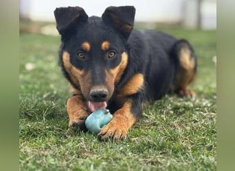 Pluton ein richtiger Teenie