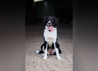 Kinderliebe Lotte wartet in 57439 Attendorn.