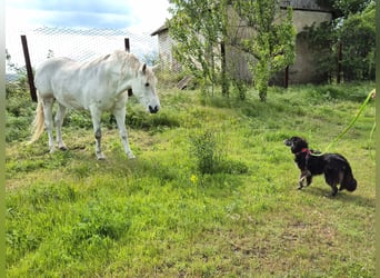 Hübsche Berta sucht ihre Menschen