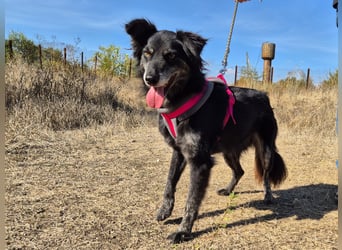 Hübsche Berta sucht ihre Menschen