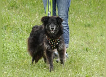 Hübsche Berta sucht ihre Menschen