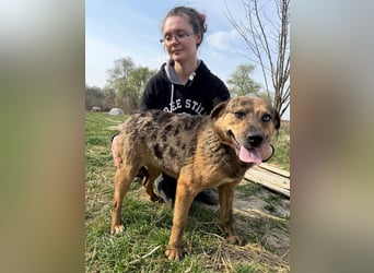 Rezeda wartet auf ihr großes Glück