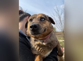 Rezeda wartet auf ihr großes Glück