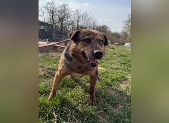 Rezeda wartet auf ihr großes Glück