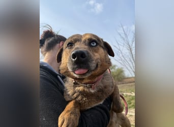 Rezeda wartet auf ihr großes Glück