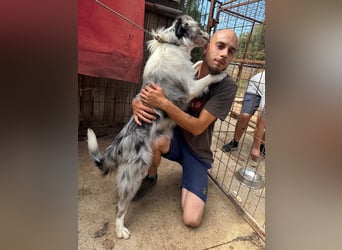 Mona sucht ein Zuhause voller Liebe