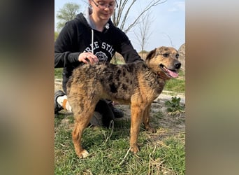 Rezeda wartet auf ihr großes Glück