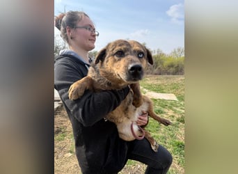 Rezeda wartet auf ihr großes Glück