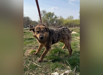 Rezeda wartet auf ihr großes Glück