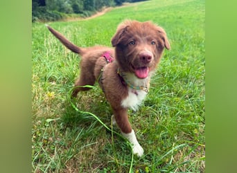 Selbstbewusster Romeo mit Potential wartet in 57627 Marzhausen.