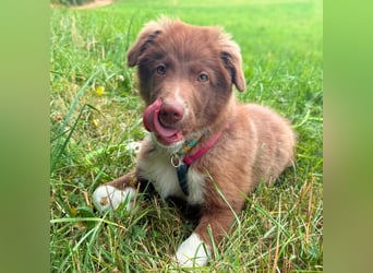Selbstbewusster Romeo mit Potential wartet in 57627 Marzhausen.