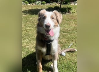 Lui sucht seine für immer Familie