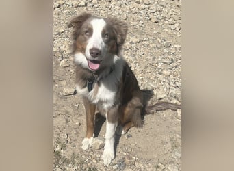 Lui sucht seine für immer Familie