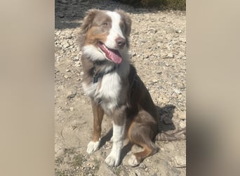 Lui sucht seine für immer Familie