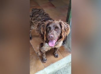 Gina